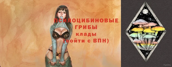 ALPHA PVP Верея