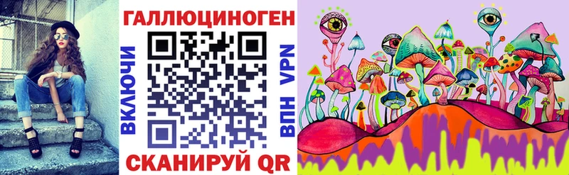 Купить где  Луховицы  Псилоцибиновые грибы Cubensis 